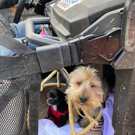 Le Soft Casa de hóspedes Vic-sur-Cère